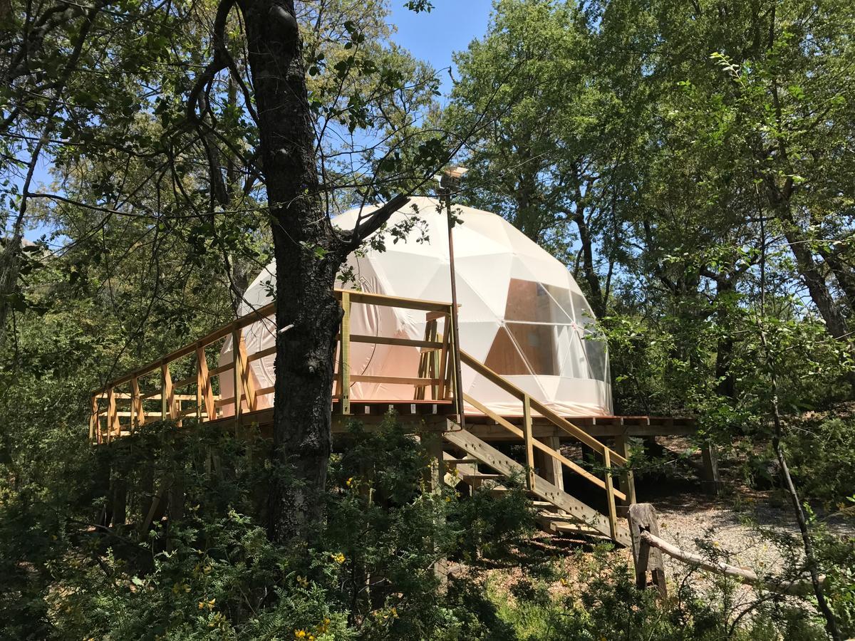 Glamping Domos Treepod Otel Las Trancas Dış mekan fotoğraf