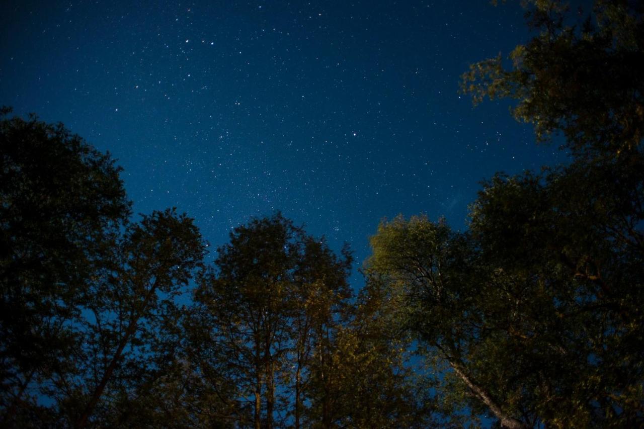 Glamping Domos Treepod Otel Las Trancas Dış mekan fotoğraf